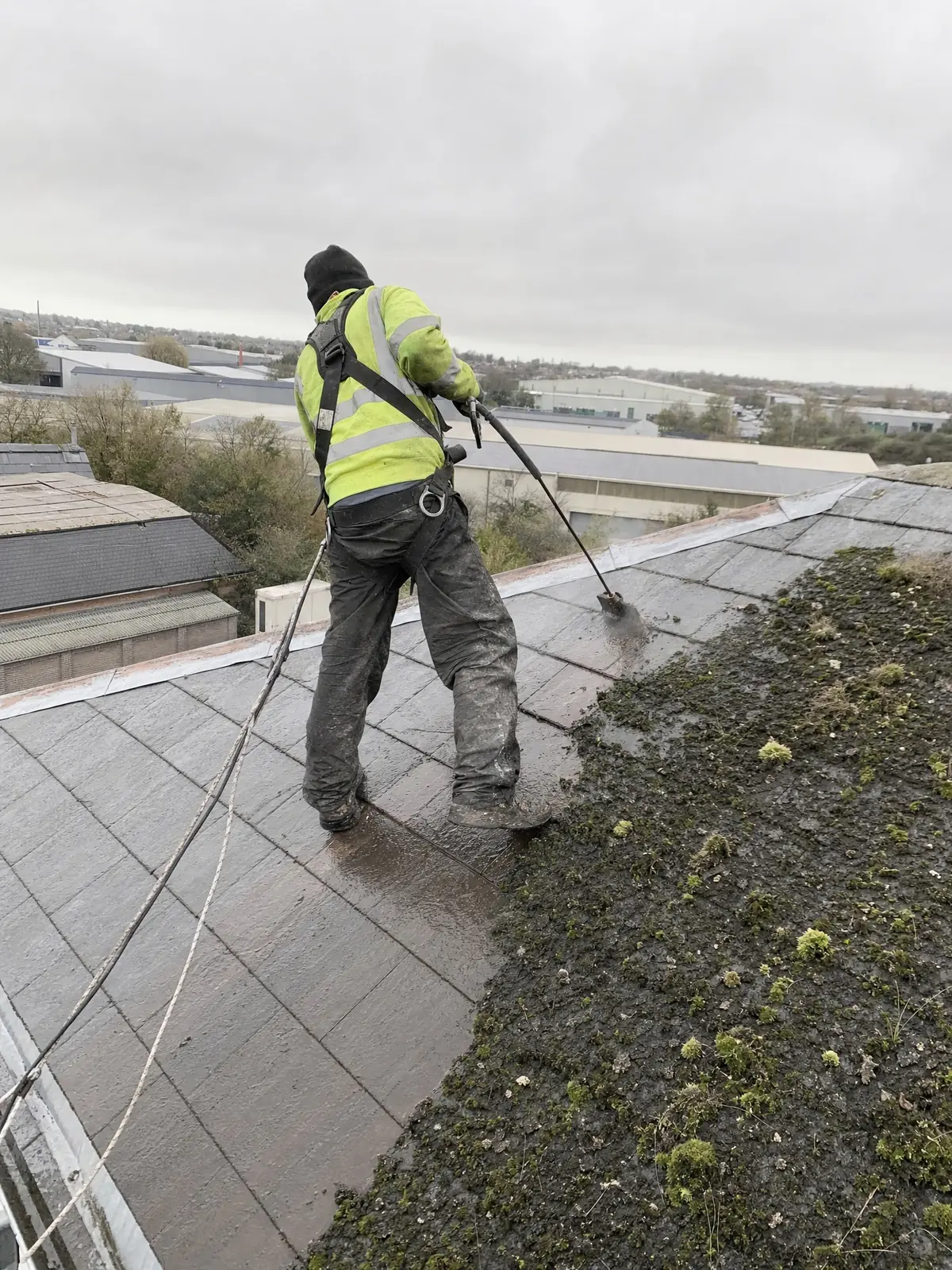 Removing moss and algae from a commercial pitched roof