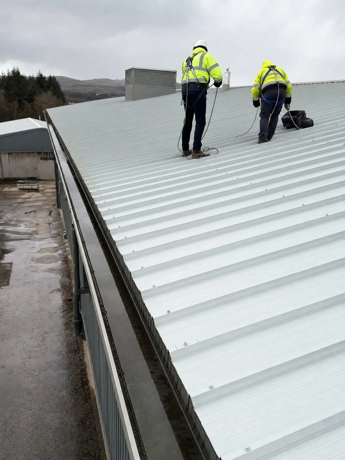 A cleaned industrial roof with access equipment removed at completion