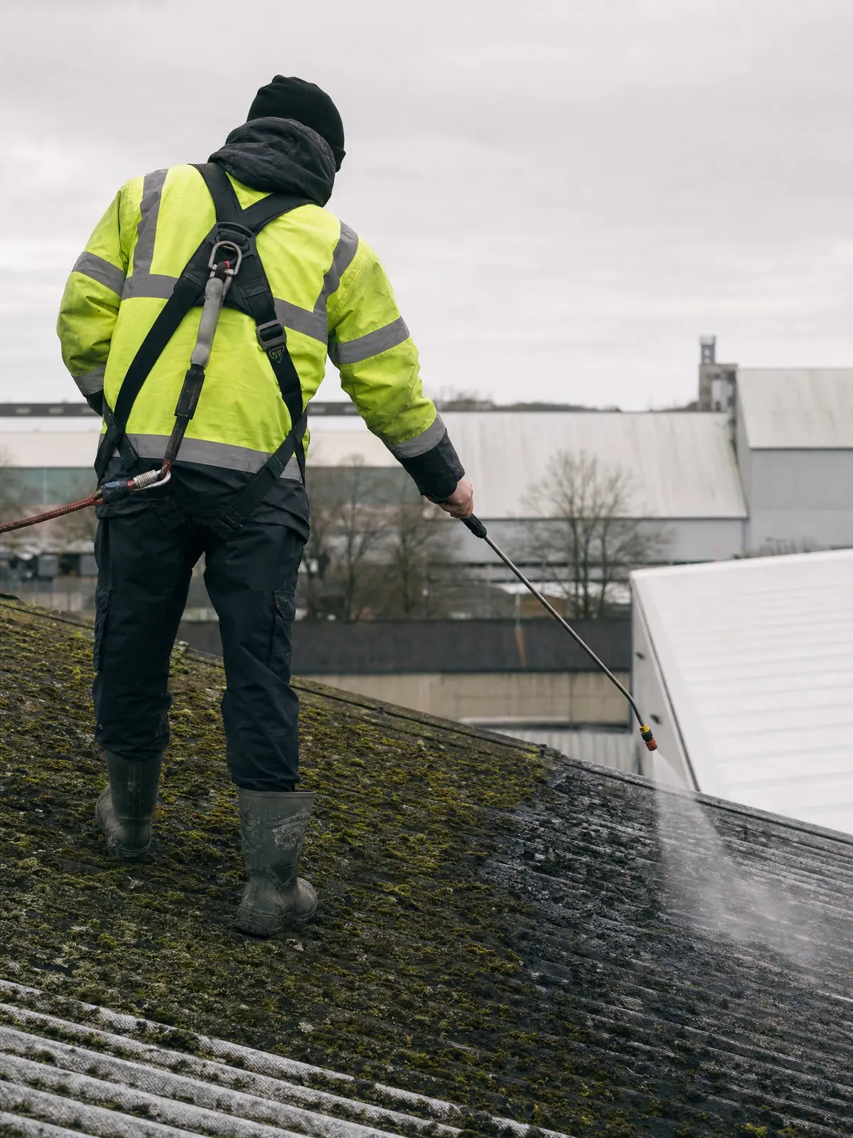Softwash biocide treatment on a mossy commercial roof
