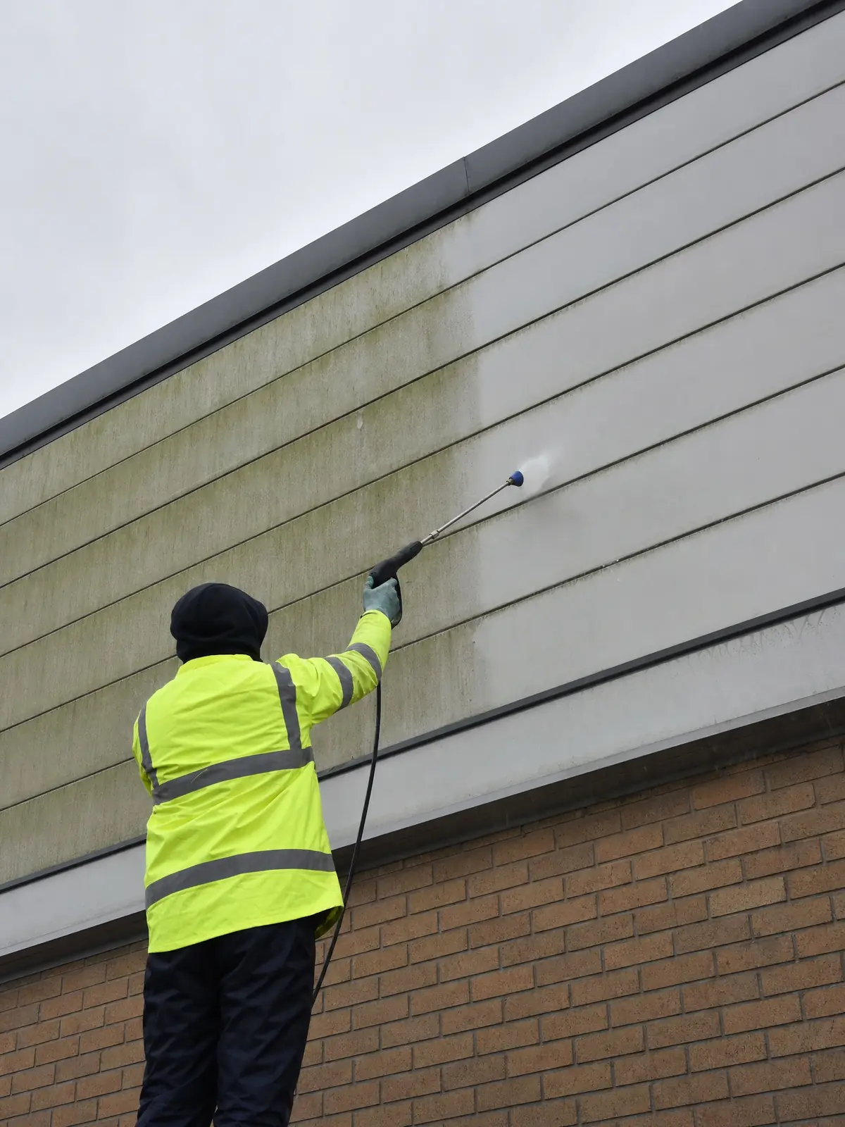 Softwashing algae-streaked cladding panels